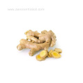 100% pure natural ginger essential oil